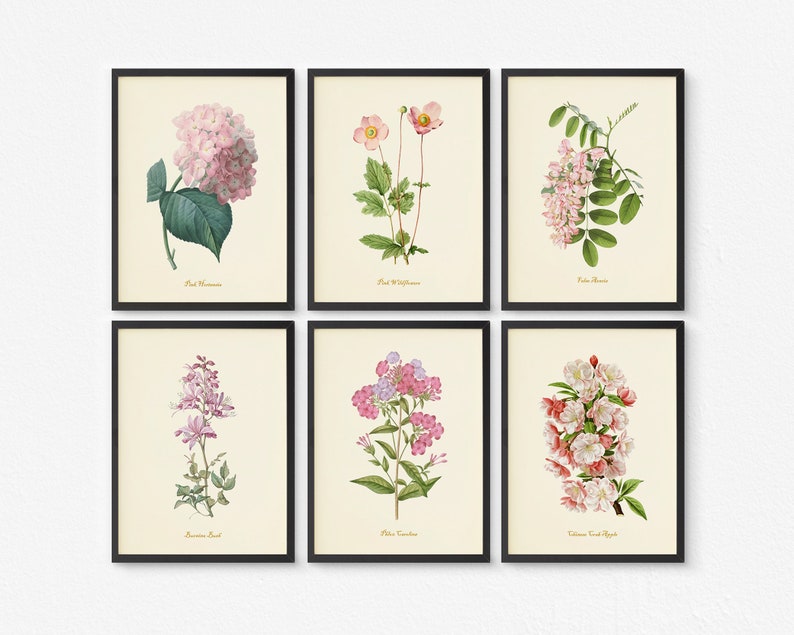 Flower Art Prints Pink Floral Decor Botanical Wall Art Etsy