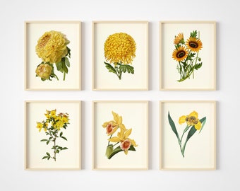 Yellow Flower Prints - Botanical Wall Art - Set of 6 - Flower Wall Art - Vintage Decor - Cottage Core Wall Decor - Unframed