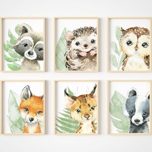 Woodland Nursery Wall Art - Forest Themed Nursery Artwork - Woodland Friends Animal Pictures - Set of 6 - Unframed