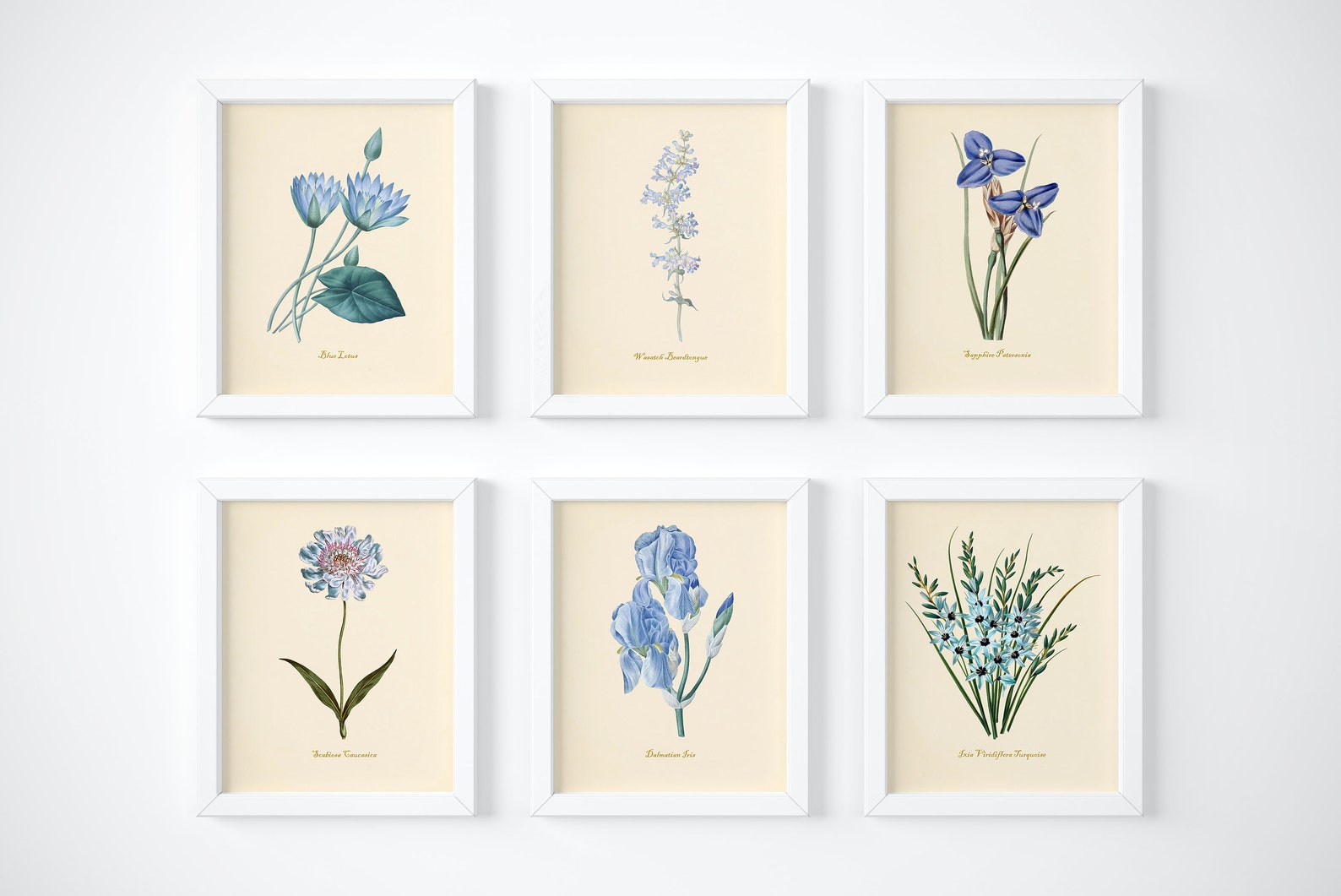 Blue Flower Wall Art Vintage Floral Wall Decor Botanical - Etsy