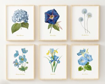 Blue Flower Wall Art - Set of 6 - Vintage Decor - Botanical Wall Art - Redoute Flowers - Cottagecore Art Prints - Floral Pictures - Unframed