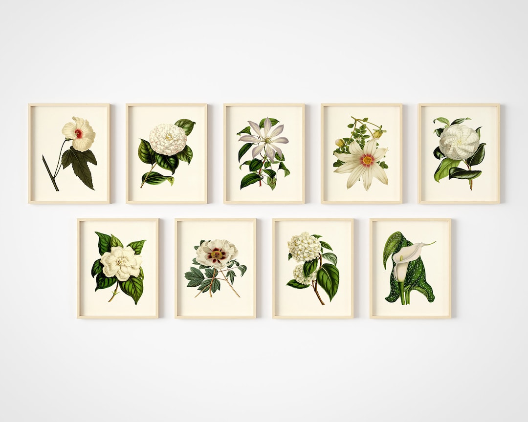 White Flower Art Prints - Collage Set of 9 - Floral Wall Decor ...