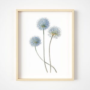 Blue Flower Wall Art - 11x14 - Vintage Floral Wall Decor - Botanical Prints - Unframed