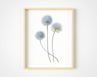 Blue Flower Wall Art, Vintage Botanical Print, Blue Floral Decor, Cottagecore Art, Botanical Nature Illustration, 11x14 - Unframed Poster