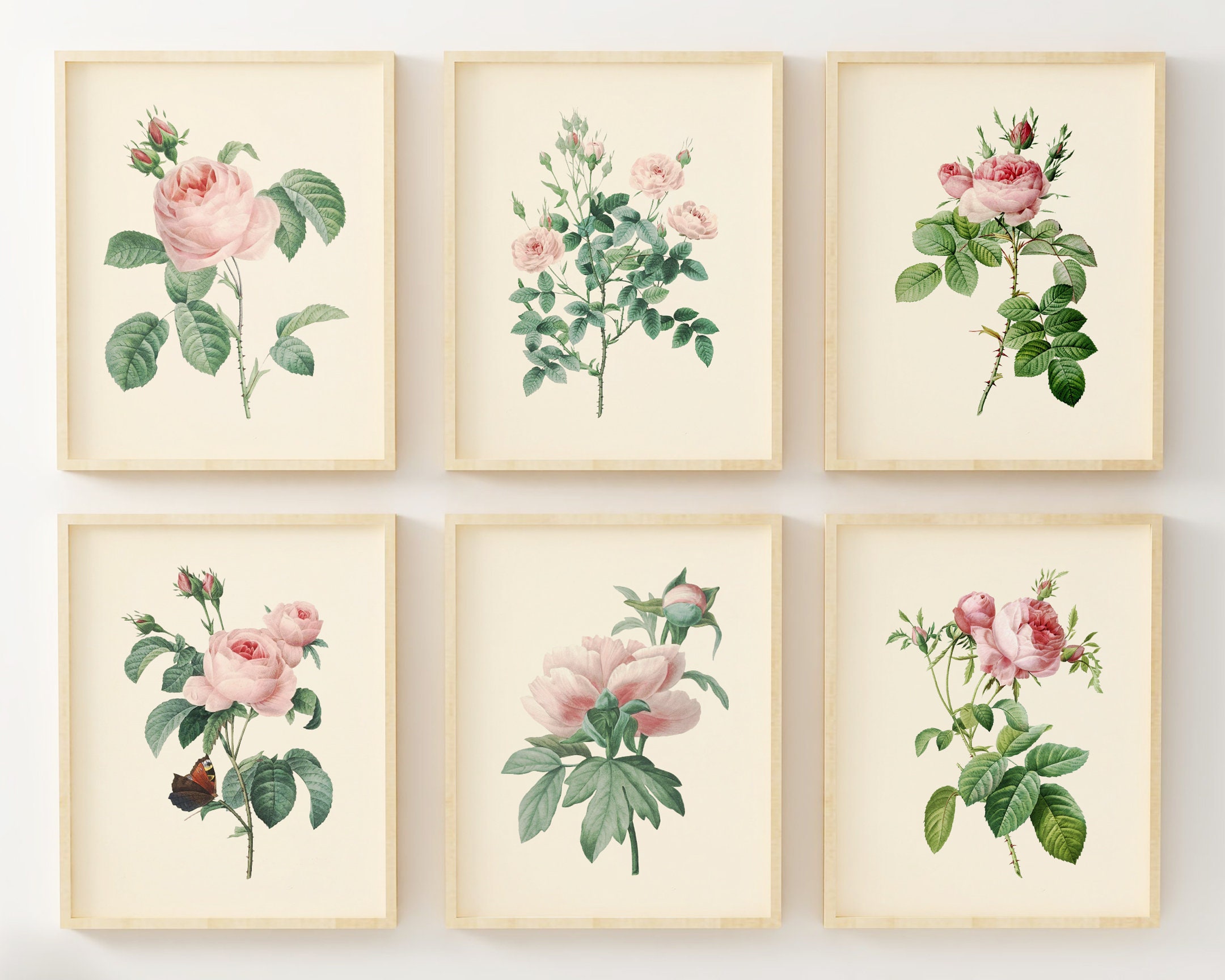 Vintage Pink Roses Wall Art Prints Set of 6 Botanical - Etsy