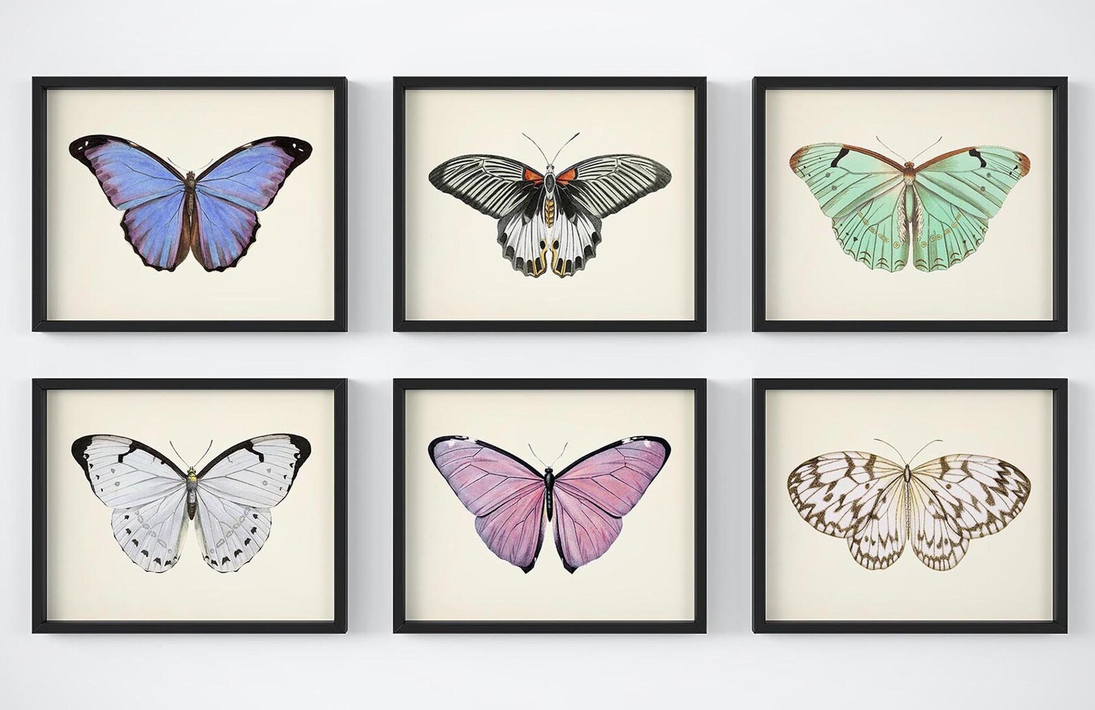 Butterfly Wall Art Vintage Butterflies Decor Butterfly Art Etsy