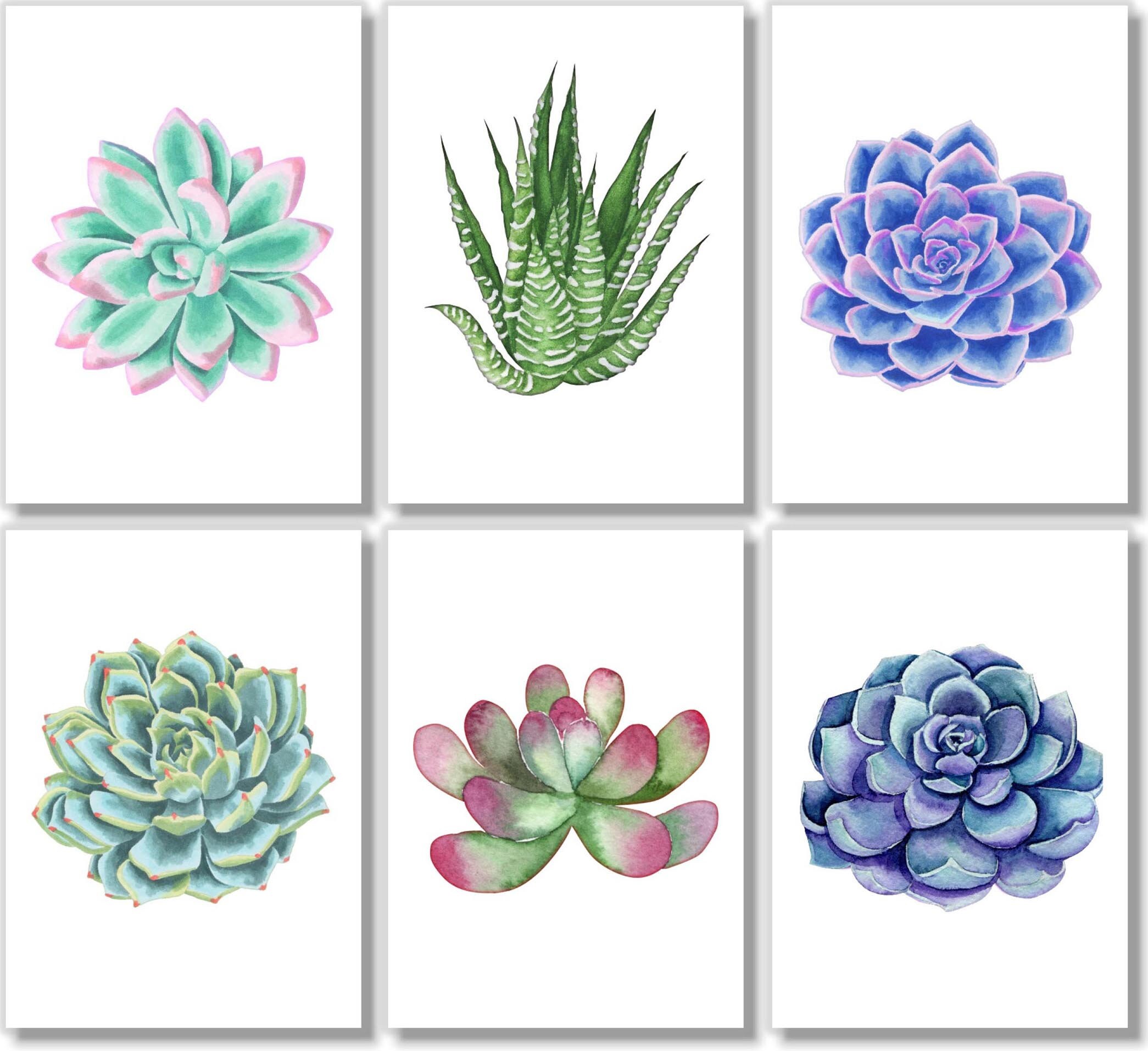 Succulent Wall Art - Boho Wall Art - Cactus Wall Decor - Watercolor ...