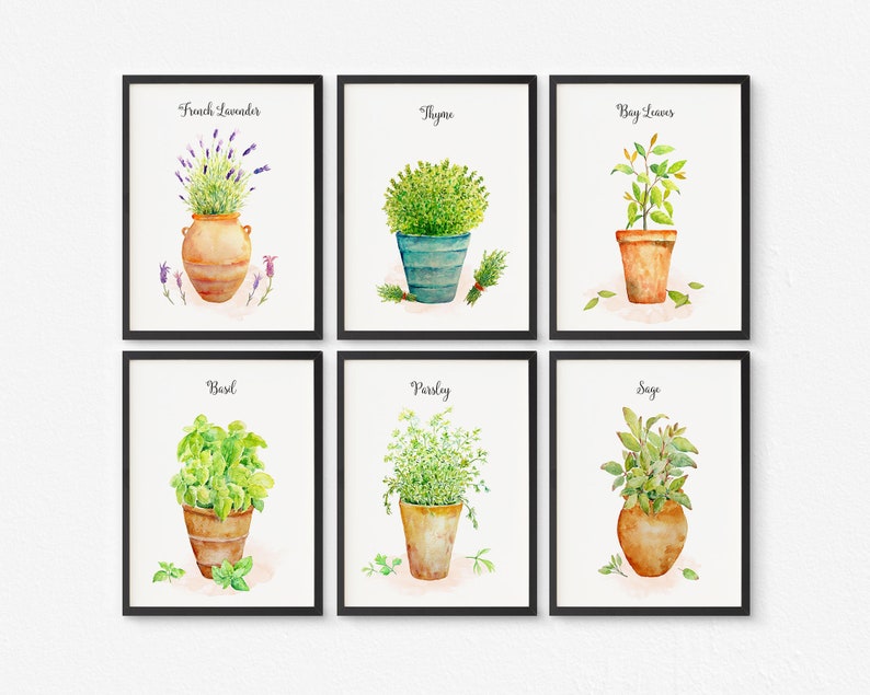 Herb Art Prints - Set of 6 - Kitchen Wall Art- Herb Paintings - Leaf ...