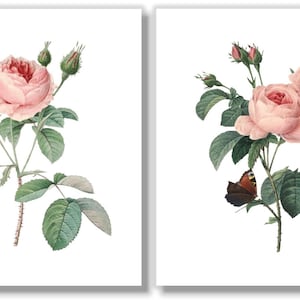 Vintage Pink Roses Wall Art Prints - Botanical Prints - Floral Wall Art ...