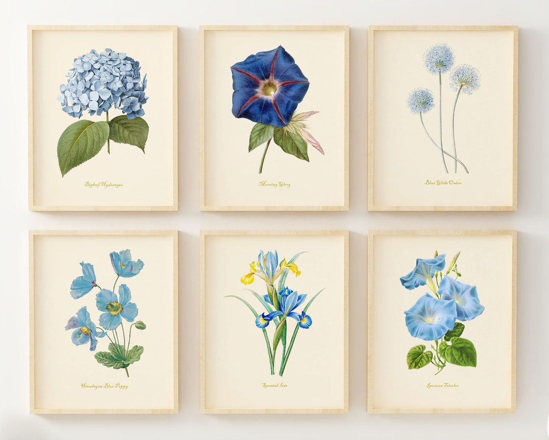 Vintage Blue Flower Wall Art Set of 6 – Botanical Prints – Blue Floral ...