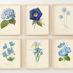 Blue Botanicals Floral Wall Art Prints - Set of 6 | Floral Wall Art | Botanical Art | Botanical Wall Decor | Vintage-Look Art