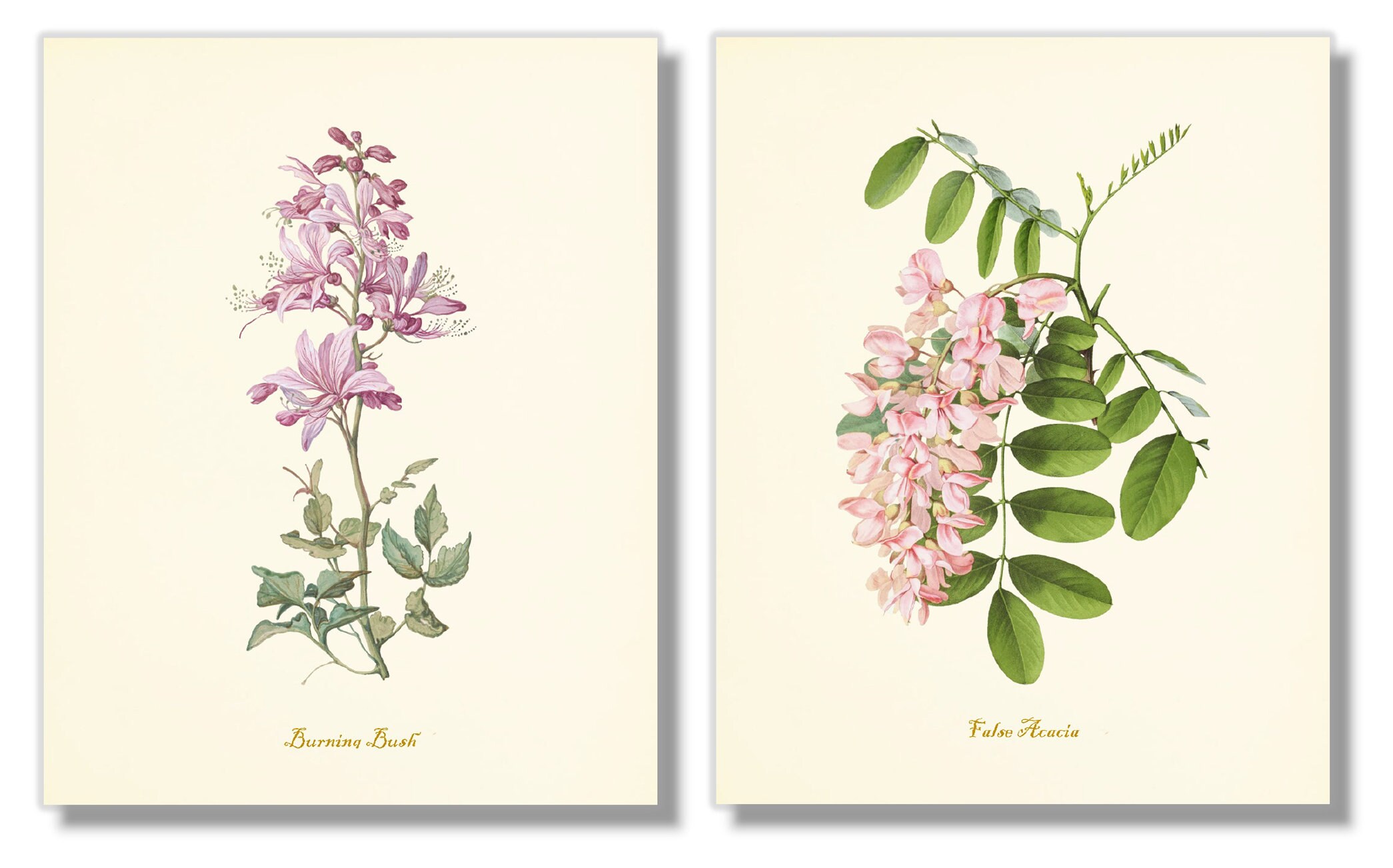 Flower Art Prints Pink Floral Decor Botanical Wall Art Etsy