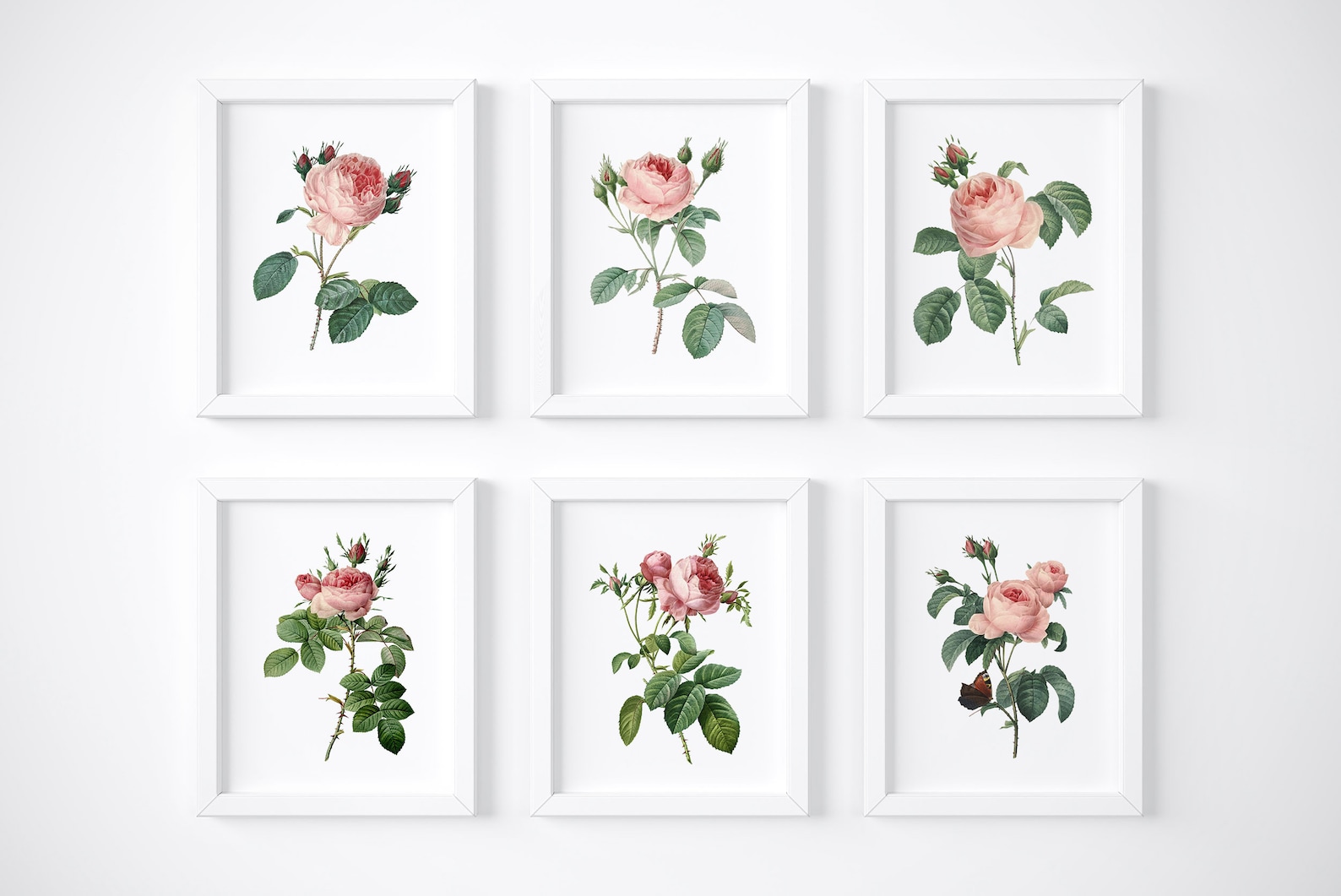 Vintage Pink Roses Wall Art Prints - Botanical Prints - Floral Wall Art ...