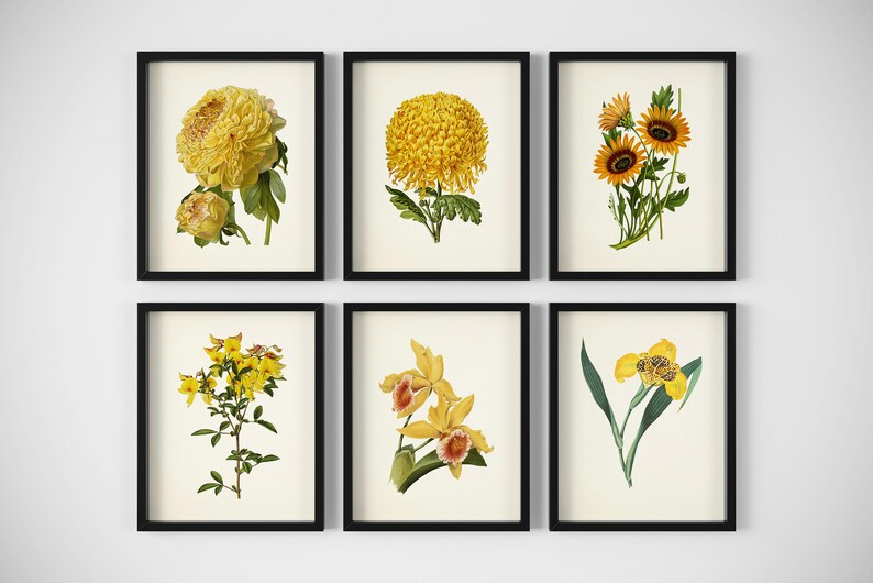 Yellow Flower Prints - Botanical Wall Art - Set of 6 - Flower Wall Art ...