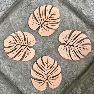 Drewniane podstawki z filodendronem Monstera Deliciosa