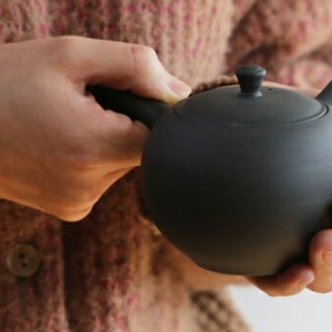 Teiera Tokoname fatta a mano Kyusu Argilla Made in Japan 225ml