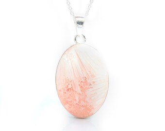 Scolacite Necklace with Adjustable Sterling Silver Rolo Chain