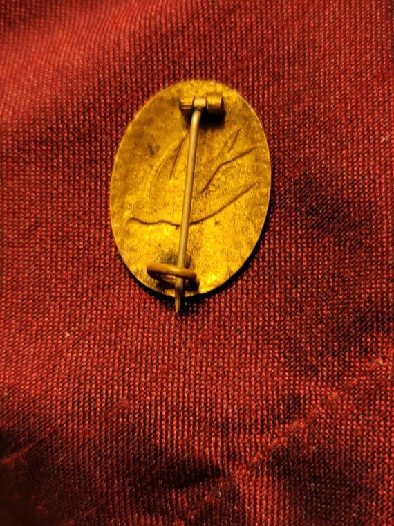 Victorian Enamel on Gilt Swallow Pin - image 4