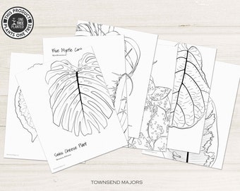 Printable Plant Coloring Pages, Kids Art Activity, Coloring Pages for Adults, Printable Coloring Pages, Plant Art