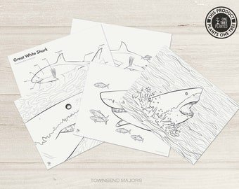 Great White Shark Coloring Pages, Printable Coloring Pages, Shark Art, Kids Art Activity, Adult Coloring Page