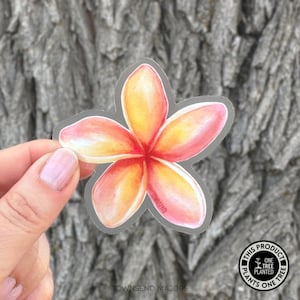 Pink Plumeria Flower Sticker - Pretty Tropical Flower Stickers - Hawaii Flowers