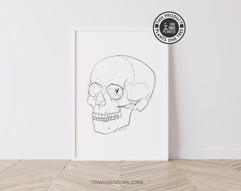 Skull Wall Art, Skull Line Art, Anatomical Skull Art, Human Anatomy Art, Human Skull Wall Art, Printable Wall Art