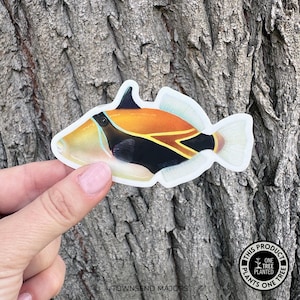 May include: A colorful fish sticker with orange, black, and white stripes. The sticker is on a tree trunk background. The sticker says "This product plants one tree".