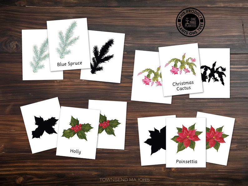 Winter Plants, Printable Activities for Kids, Art Activities for Kids, Printable Coloring Pages, Scissor Skills, Tracing image 4