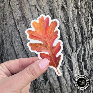 May include: A sticker of a single orange and red oak leaf with a white border. The sticker is on a tree trunk background. The sticker has the text "This product plants one tree" on a round sticker in the bottom right corner.