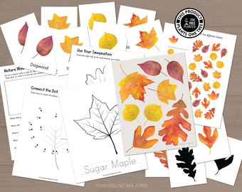 Fall Leaves Art Activity, Fall Coloring Pages, Fall Activity for Kids, Printable Art Activities