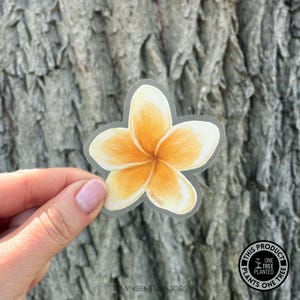 Yellow Plumeria Flower Sticker - Pretty Tropical Flower Stickers - Hawaii Flowers