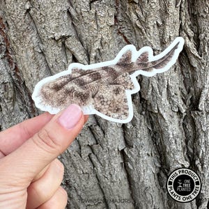 Tasselled Wobbegong Shark Sticker