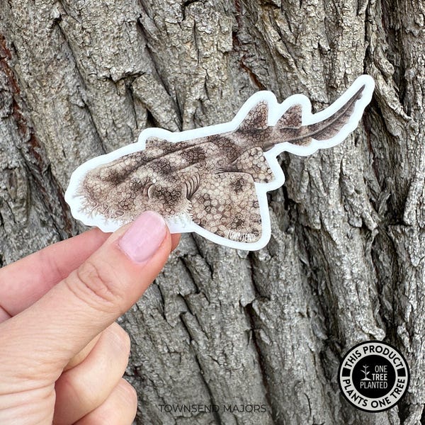 Tasselled Wobbegong Shark Sticker