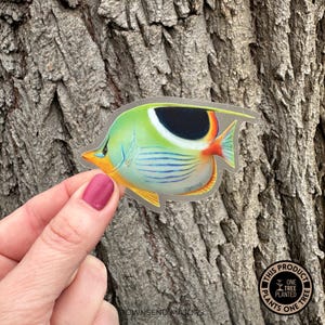 Saddleback Butterflyfish Fish Sticker