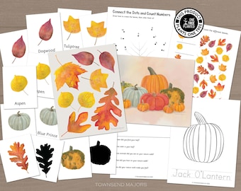 Fall Art Activity Bundle, Fall Leaves, Pumpkins, Fall Coloring Pages, Montessori Materials, Nature Study, Printable Coloring Pages