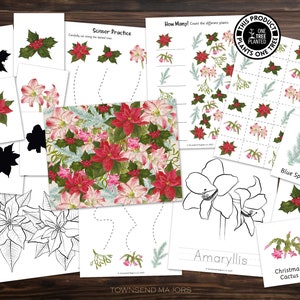Winter Plants, Printable Activities for Kids, Art Activities for Kids, Printable Coloring Pages, Scissor Skills, Tracing image 1