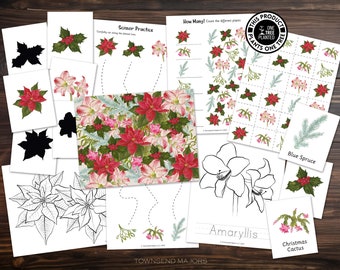 Winter Plants, Printable Activities for Kids, Art Activities for Kids, Printable Coloring Pages, Scissor Skills, Tracing