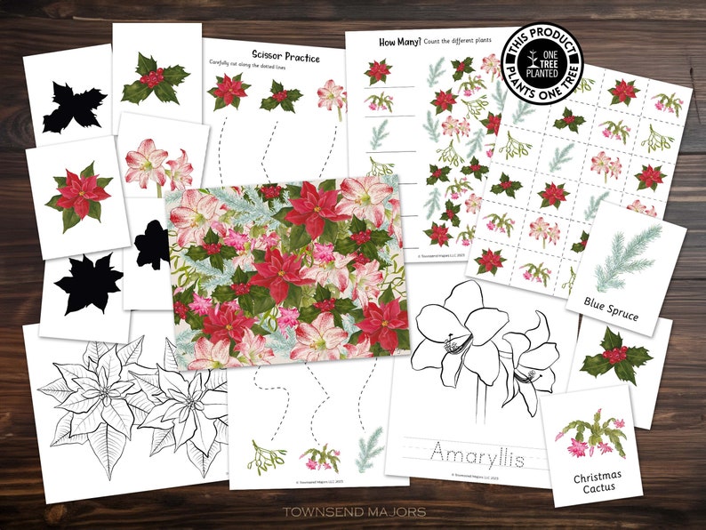 Winter Plants, Printable Activities for Kids, Art Activities for Kids, Printable Coloring Pages, Scissor Skills, Tracing image 1