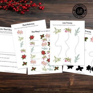 Winter Plants, Printable Activities for Kids, Art Activities for Kids, Printable Coloring Pages, Scissor Skills, Tracing image 5
