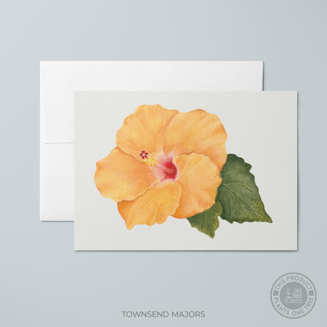 Yellow Hibiscus Flower Note Card | Blank A7 Greeting Card - Etsy