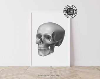 Human Skull Art, Skull Wall Art, Anatomy Poster, Anatomical Skull Art, Human Anatomy Art, Printable Wall Art