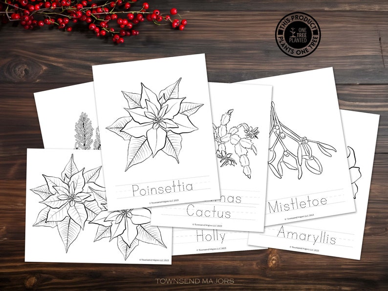 Winter Plants, Printable Activities for Kids, Art Activities for Kids, Printable Coloring Pages, Scissor Skills, Tracing image 2