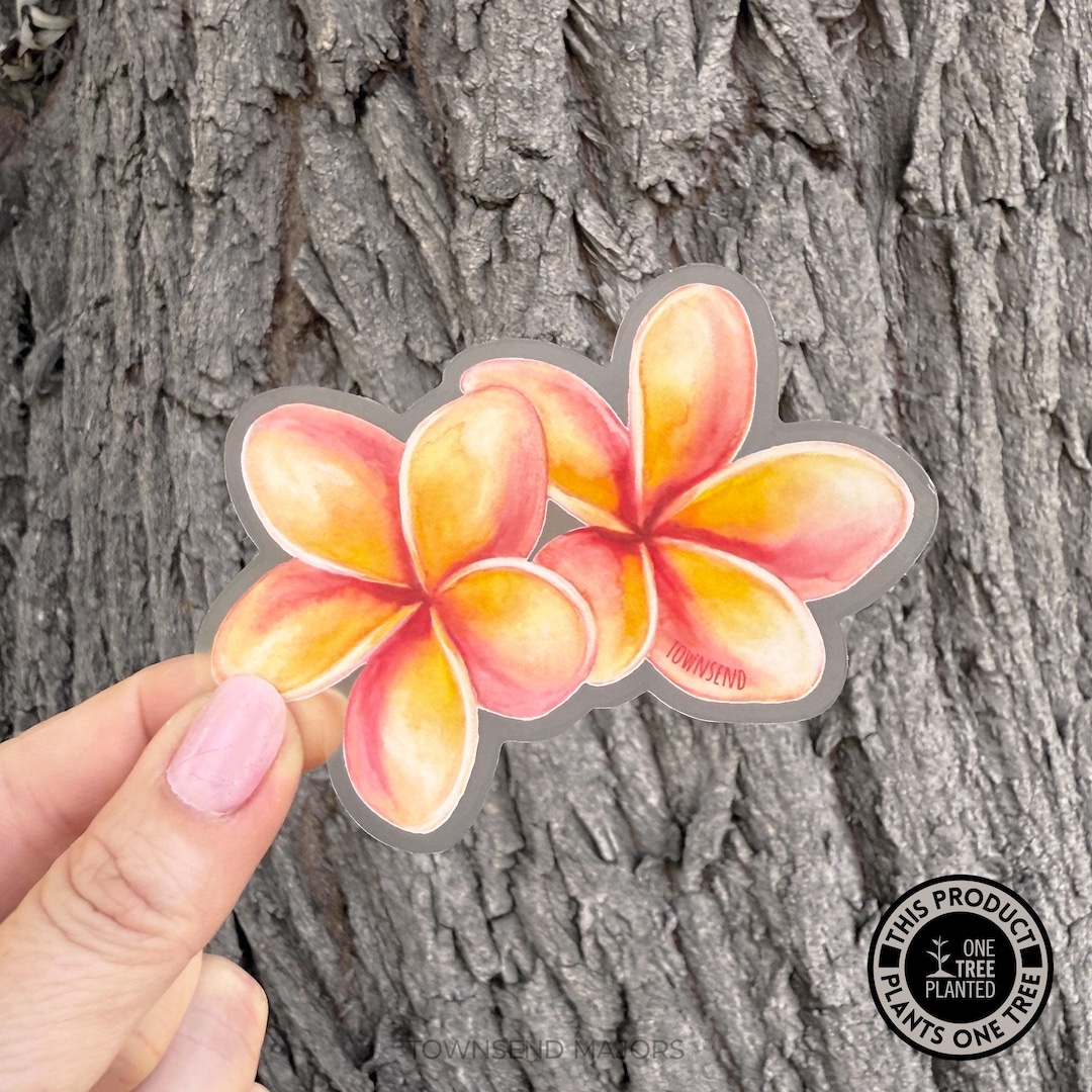 Pink Plumeria Flower Sticker With Two Flowers - Etsy