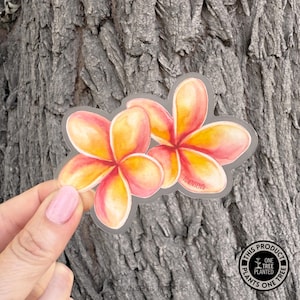 Pink Plumeria Flower Sticker with Two Flowers