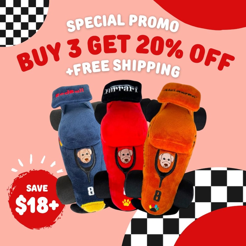 F1 Car Drive By - Etsy