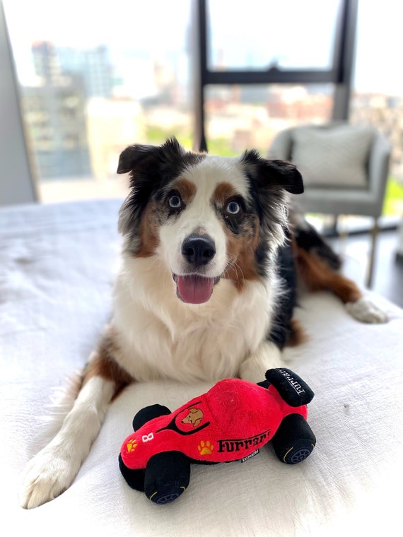 Formula 1 Parody Dog Toy Car, F1 Dog Toy, Drive to Survive Plush