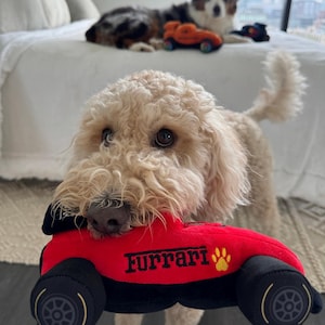 Voiture jouet parodique formule 1, jouet pour chien Ferrari F1, peluche Drive To Survive, cadeau Ferrari, peluche formule 1, cadeau pour lui, cadeau pour elle