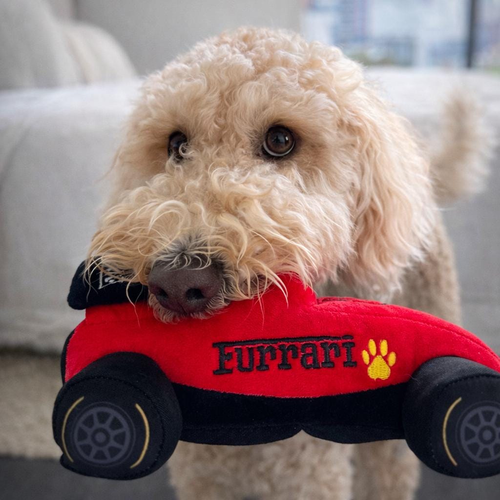 “Racing Car Dog” BANKドール il_fullxfull.7905711877_6mrd.jpg