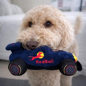 Von der Formel 1 inspiriertes Rennauto-Hundespielzeug | F1 Interaktives Quietschspielzeug | Haustier Geschenk | RotBall