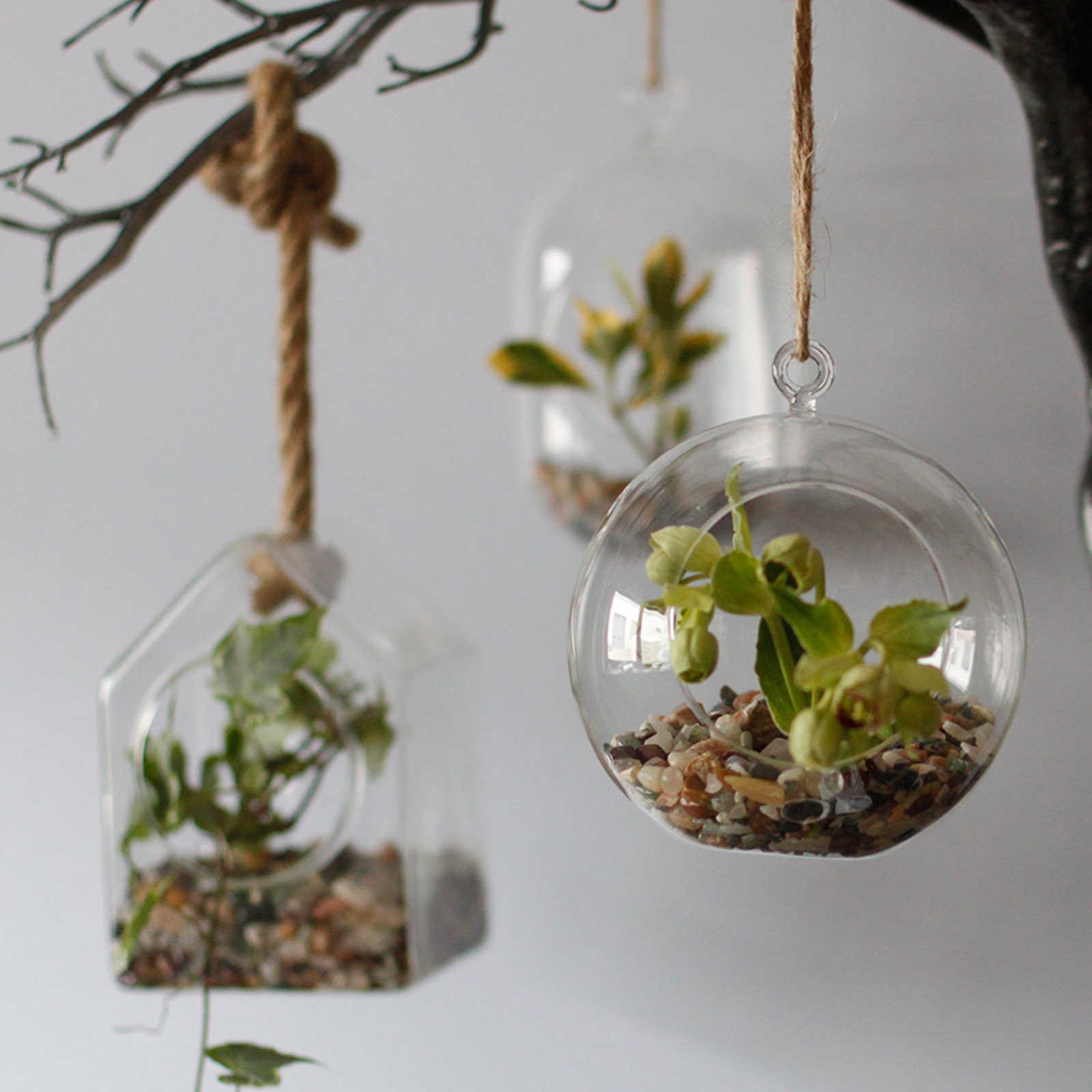 Glass Terrarium Globe Hanging Bowl Glass planter Etsy